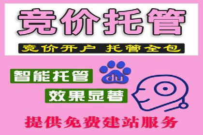 SEM优化实战：精准定位，提升广告转化